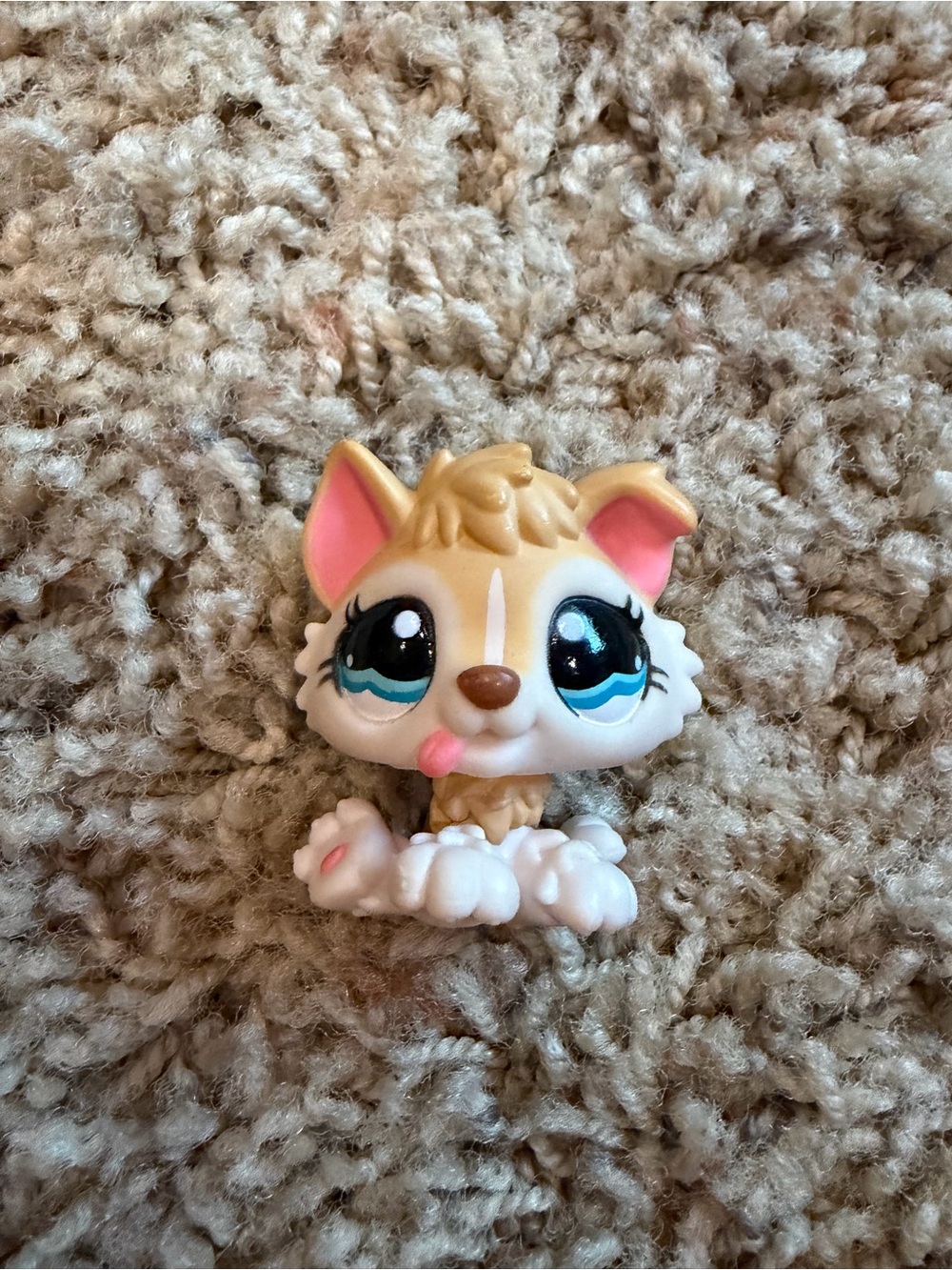 Cream Husky Littlest pet shop
